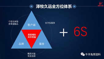 泽牧久远丨2019畜牧业新媒体运营及互联网营销论坛 组委会周盼伊老师来访 互联网销售